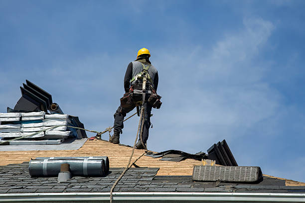 Professional Roof Installation technician working in Lissie, TX